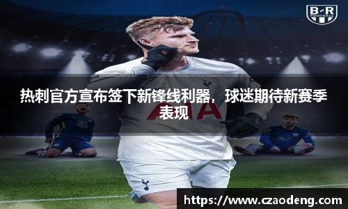 热刺官方宣布签下新锋线利器，球迷期待新赛季表现